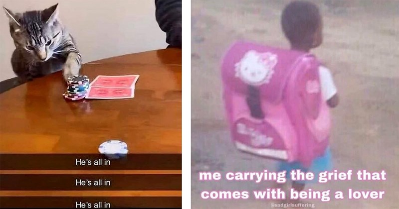 31 Memes That Get the Job Done