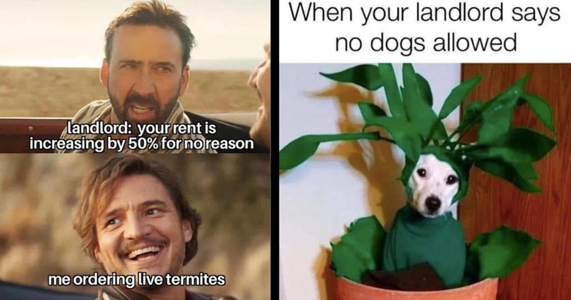 31 Renter Memes That Give Experienced Tenants the Landlord Special