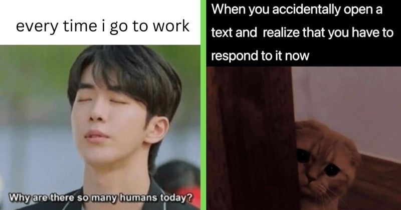 39 Introvert Memes for Grateful Loners Happy to Stay in Their Lane (March 29, 2024)