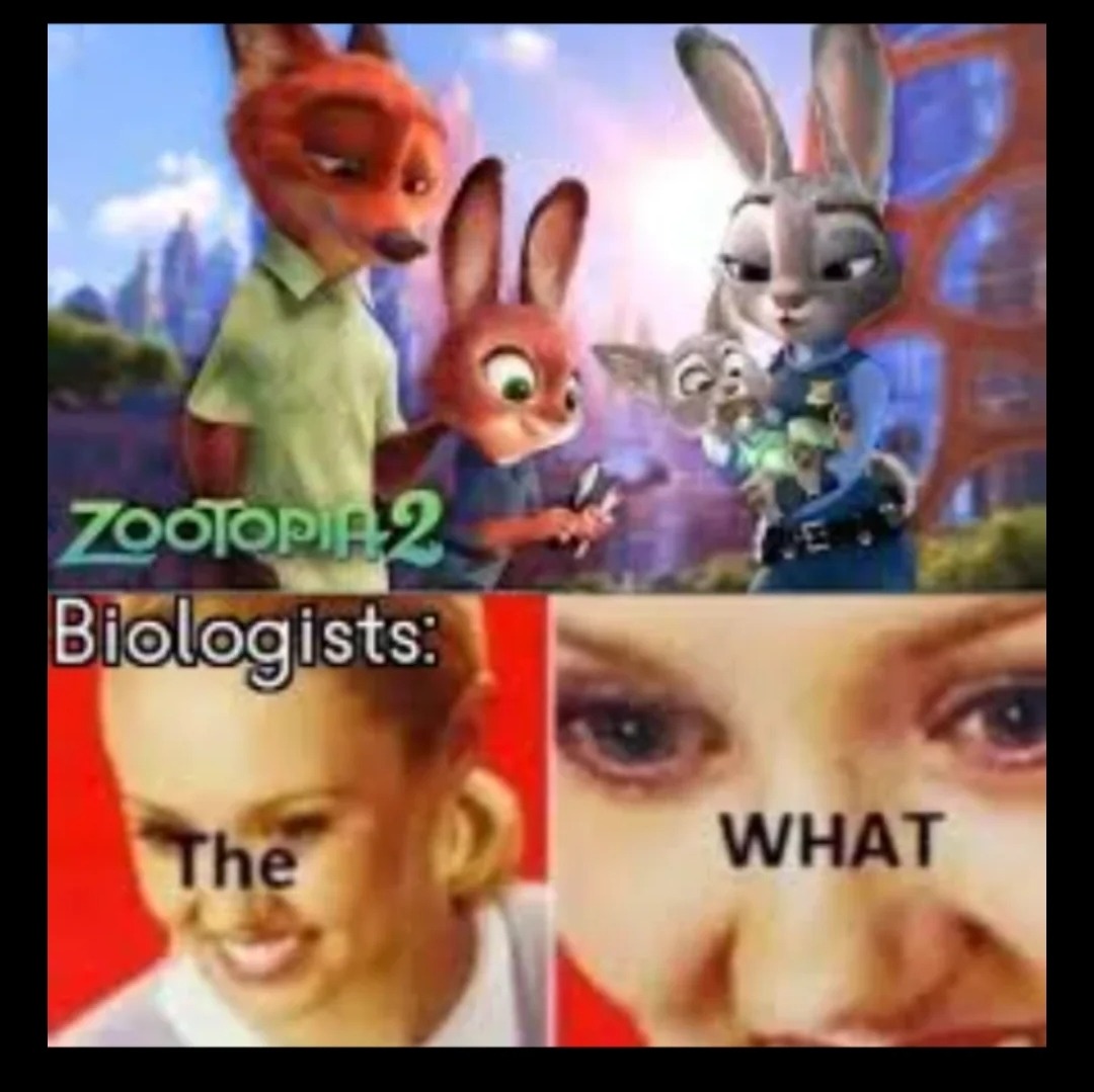 Biology – meme