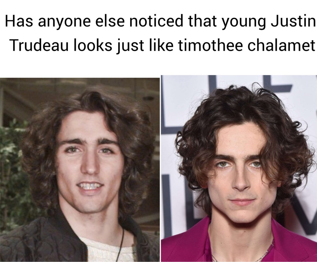 Justin Trudeau vs timothee chalamet – meme