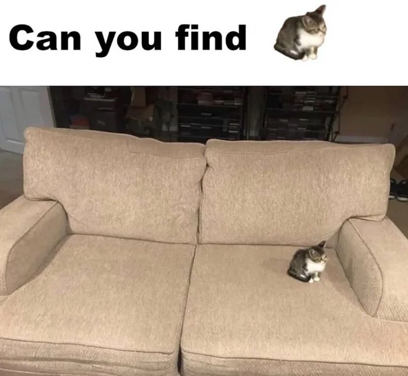 Find it – meme