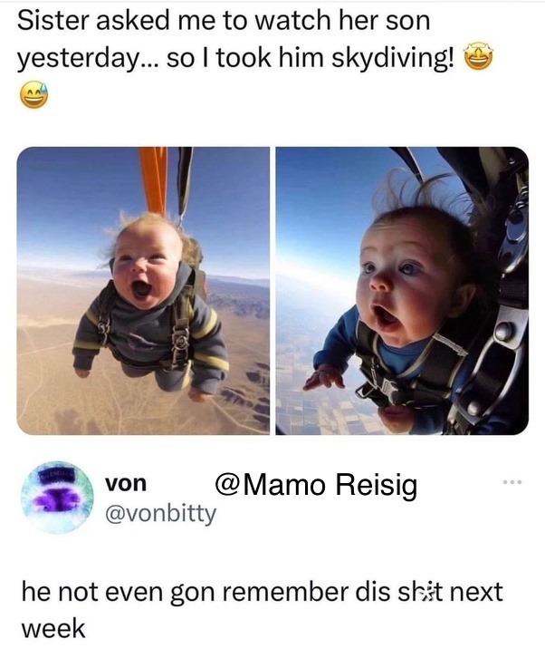 Skydiving – meme