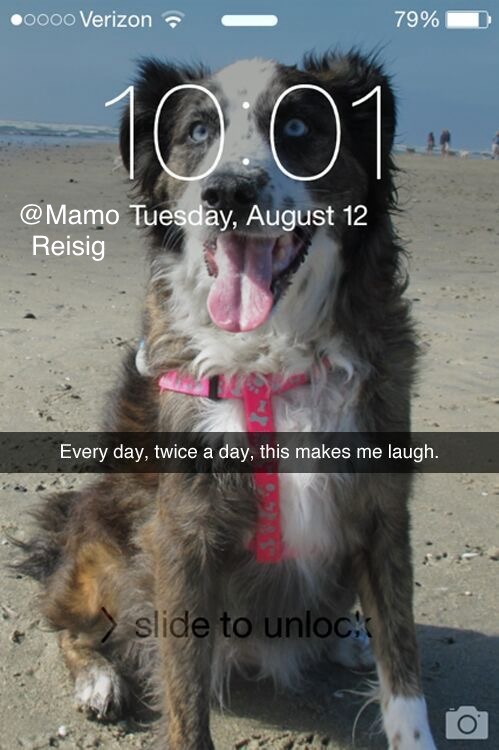 Lock Screen Picture – meme