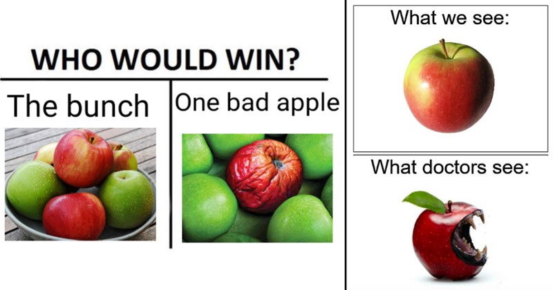 20 Juicy Apple Memes to Keep the Doctor Away