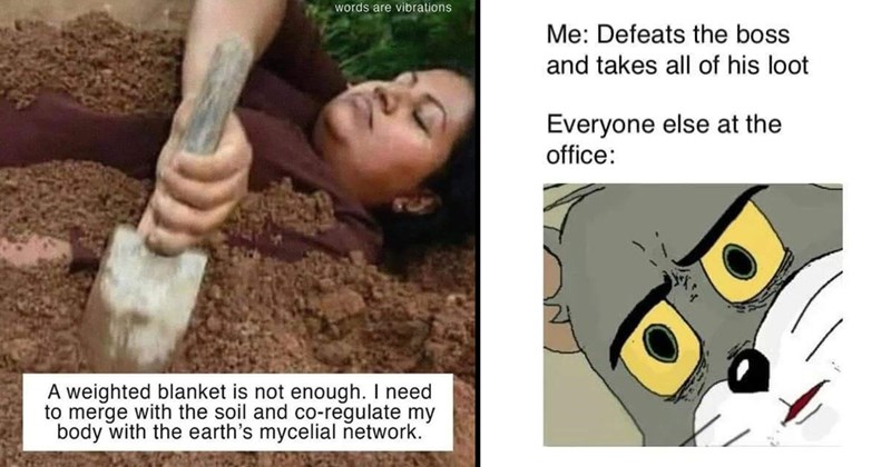 30 Memes That Have a Pleasing Demeanor