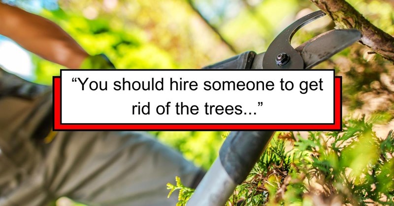 ‘Get rid of the trees’: Guest Demands Hotel Remove Trees and Replant Them After The Leaves Fall Off