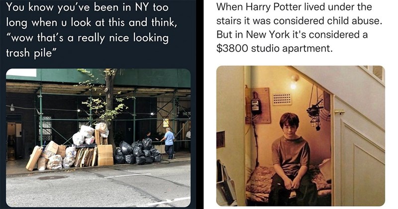 25+ NYC Memes for New Yorkers Who Say Bacon Egg and Cheese as One Word