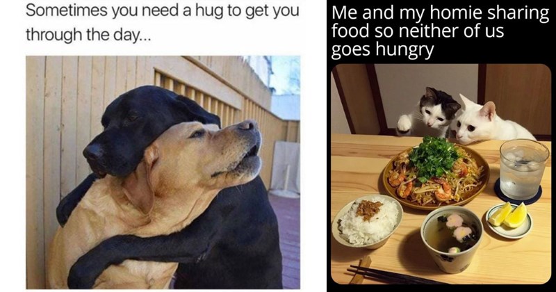 The Best Heartwarmingly Wholesome Memes and Posts of the Week (April 4, 2024)