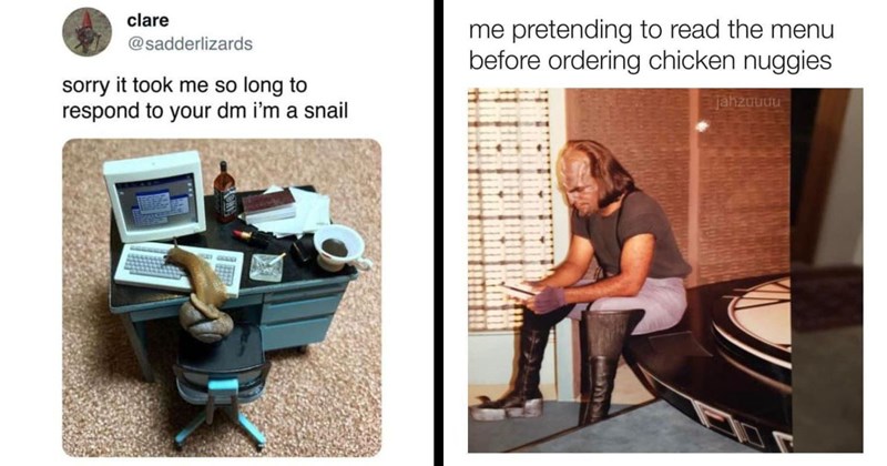 35 Memes if You Need a Friend in This World