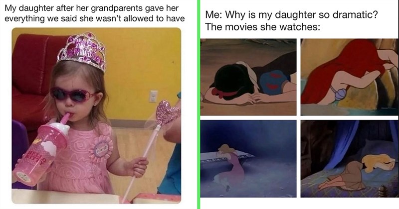 20+ Daughter Memes for Funny Moms and Dads Raising a Little Fireball Princess