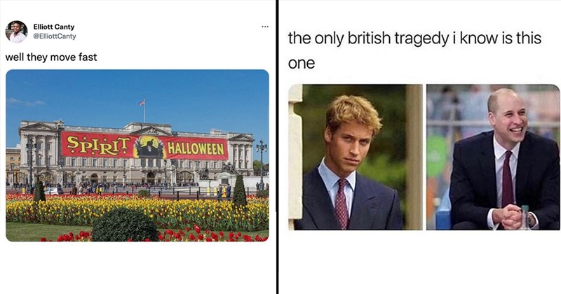 20+ Magnanimous Royal Family Memes That Take the Crown