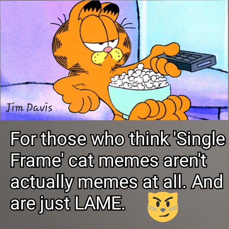 Jim Davis Did Pretty Well – meme