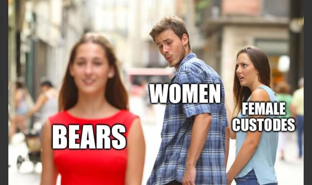 Bear meme #2