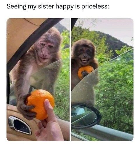 Happy monke – meme