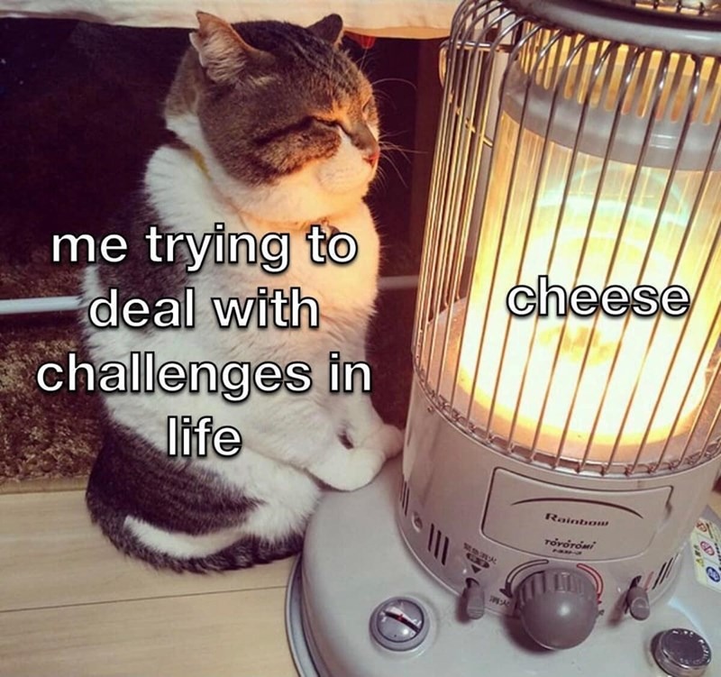 Cheeseeeeeeee – meme