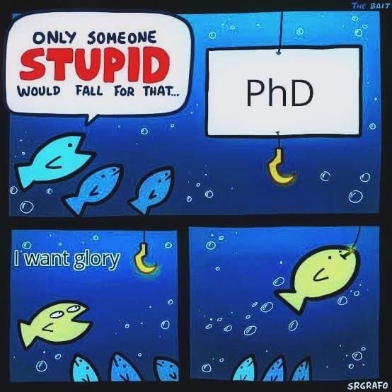 Don’t do it. College is stupid, Ph.D.’s are even stupider. – meme