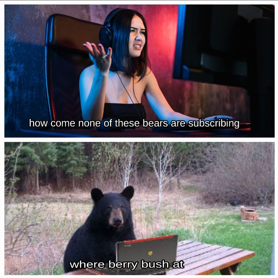 Bear patriarch – meme