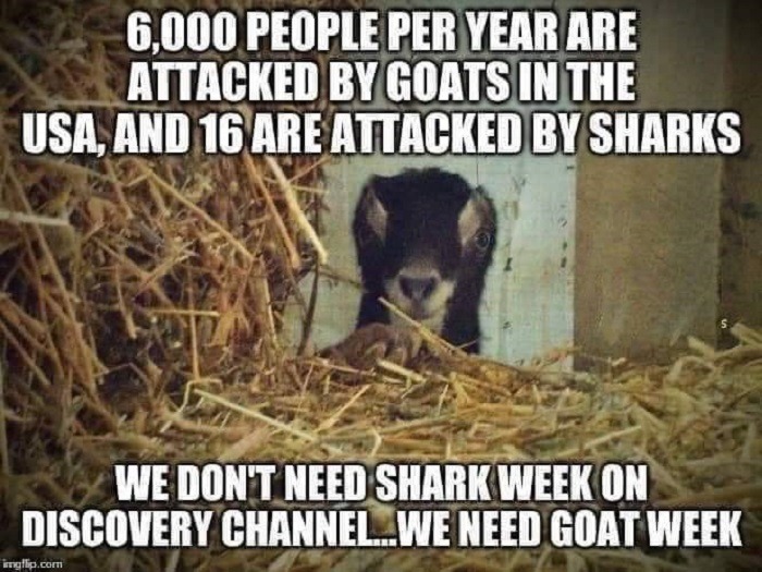 Ban assault goats now – meme