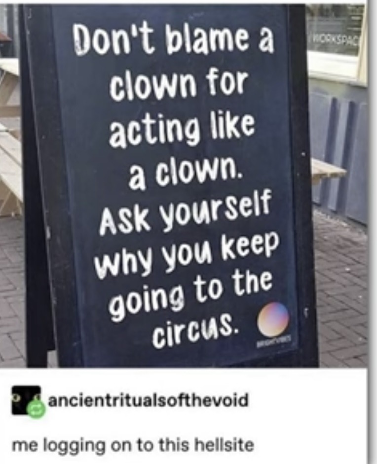 Dongs in a circus – meme