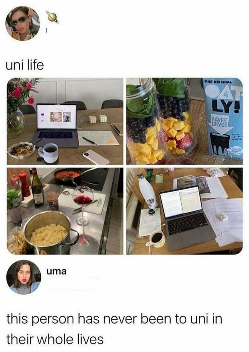 University – meme