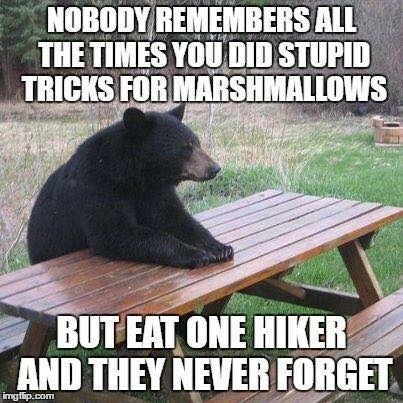 Justice for Bears. – meme