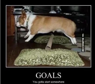 dog goals – meme