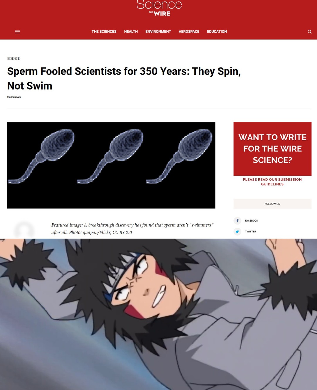 Dongs in a sperm – meme