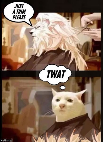 Just a Little Bit – meme