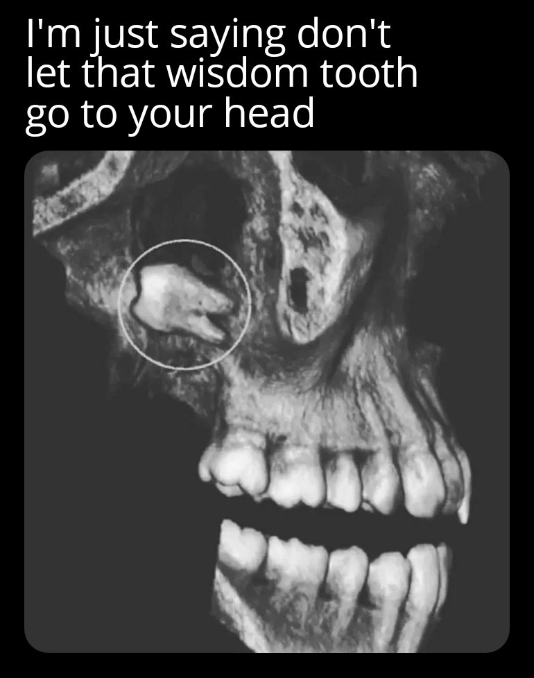 Don’t listen to me, do as the tooth commands – meme