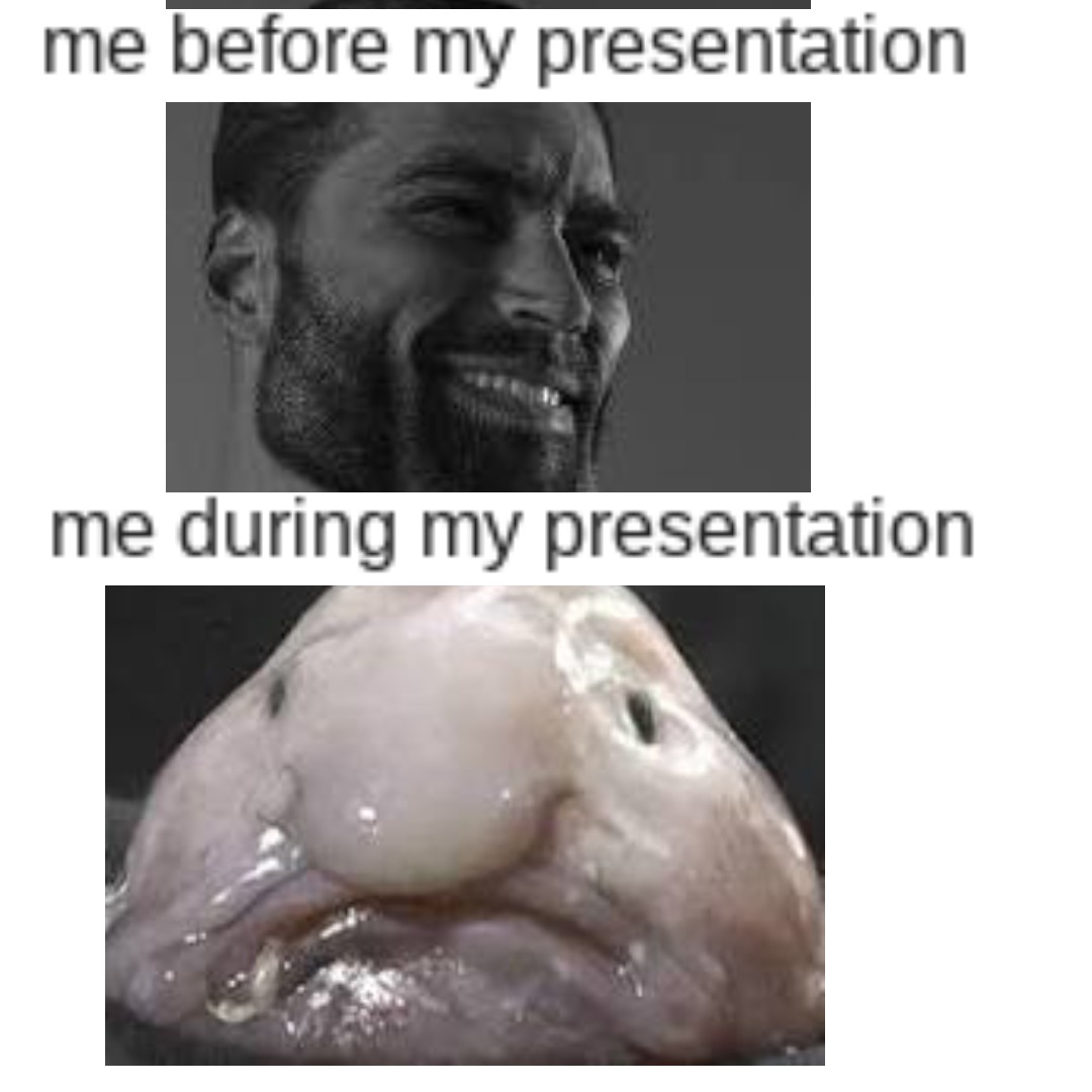 me before my presentation. – meme