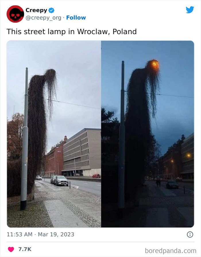 poland – meme