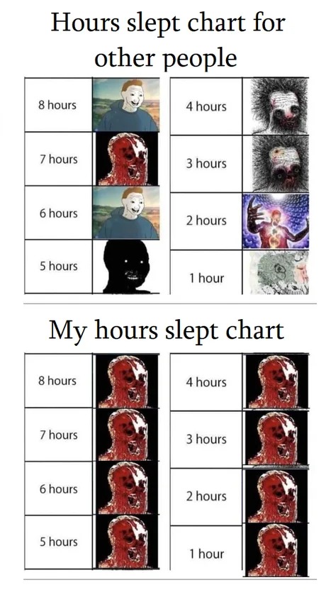 Hours slept chart – meme