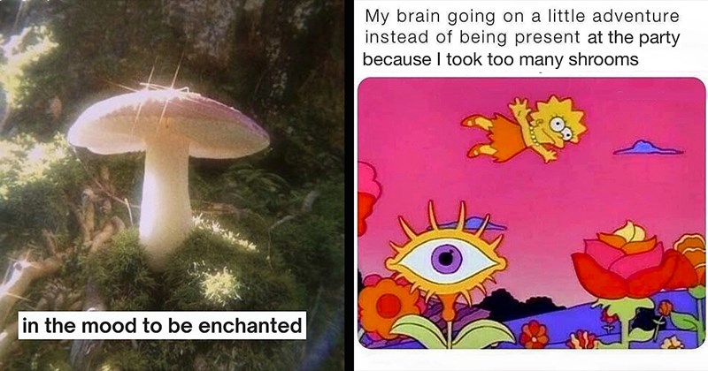 A Magical Mush of Mushroom Memes for Trippy Fun Guys