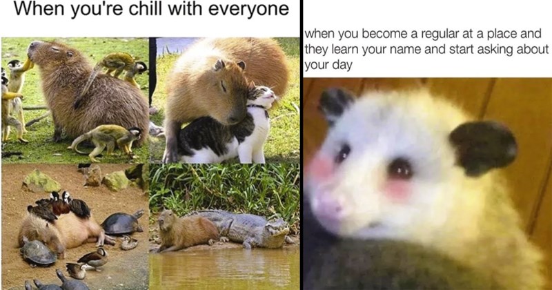 The Best Heartwarmingly Wholesome Memes and Posts of the Week (May 16, 2024)