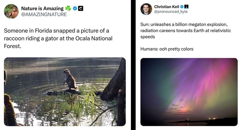 35 of the Freshest and Funniest Tweets of the Week (May 18, 2024)