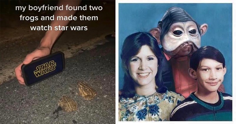 40+ Star Wars Memes for Aficionados of the Force (May 8, 2024)