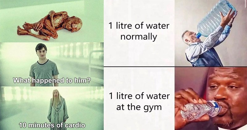 25+ Workout Memes for People Avoiding The Gym (May 18, 2024)