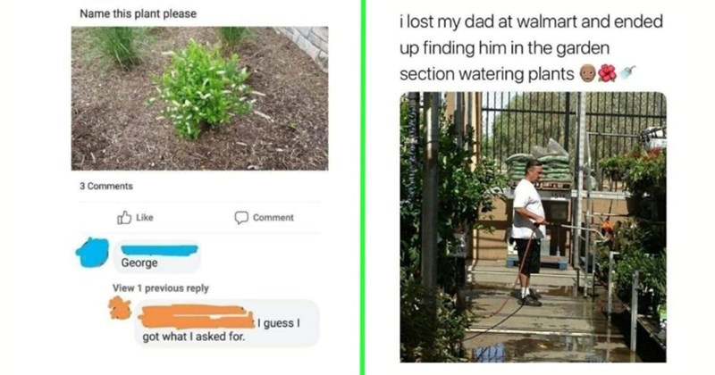 Get Your Planters Ready These 24 Gardening Memes Sprouting Just in Time for Spring