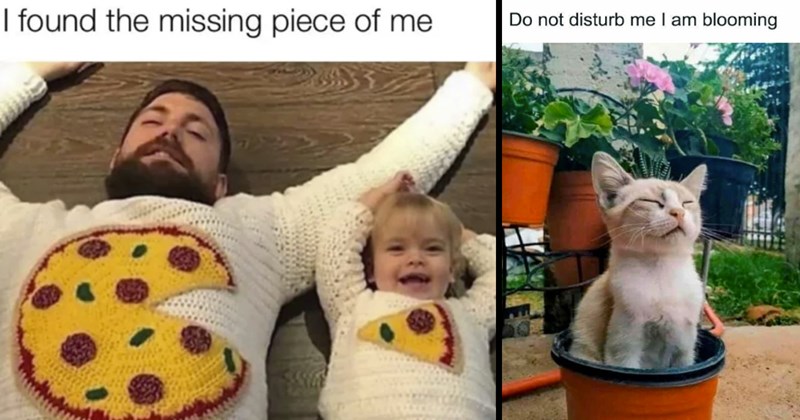 The Best Heartwarmingly Wholesome Memes and Posts of the Week (May 30, 2024)