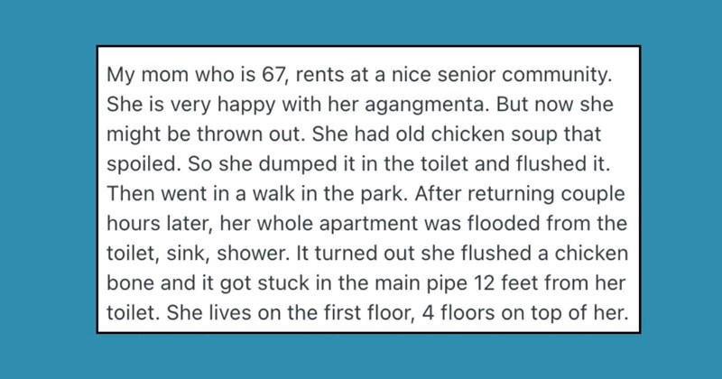 ‘They want her to pay $45,000 [for repairs]’: Clueless renter facing exorbitant repair fees after destroying the apartment with 1 can of chicken soup