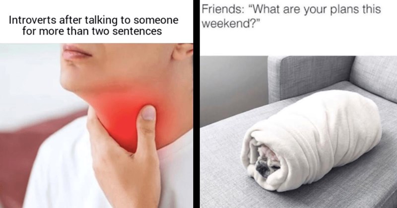 27 Introvert Memes for Grateful Loners Happy to Stay in Their Lane (May 17, 2024)