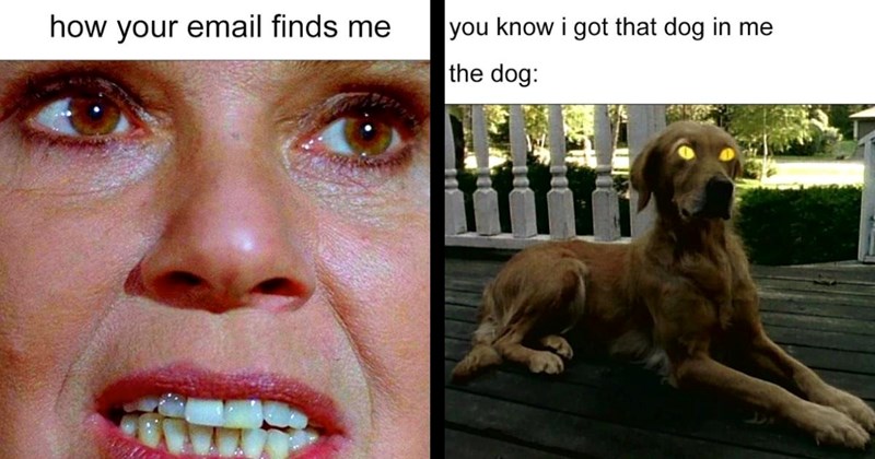 30 Dark Humor Memes for the Funny Black Sheep of the Family