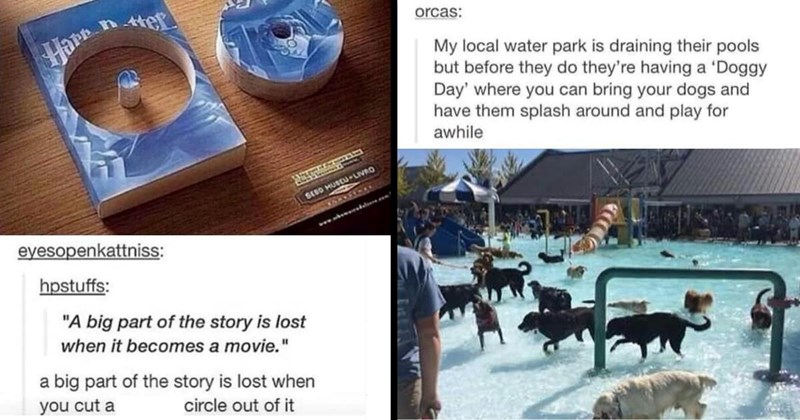 The Funniest Tumblr Memes of the Week (April 30, 2024)