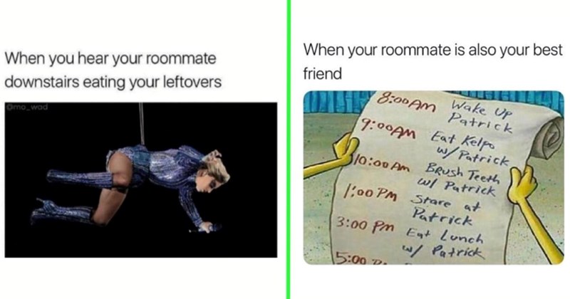 25 Roommate Memes That Capture the Love-Hate Relationship of Shared Living