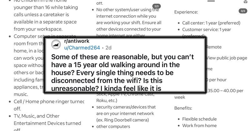 ‘No children in the home younger than 16’: Job posting advertises crazy, Orwellian work-from-home stipulations