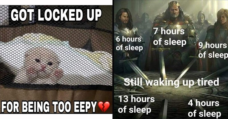 23 Eepy Memes for Sleepy Dreams to Scroll Before Bedtime