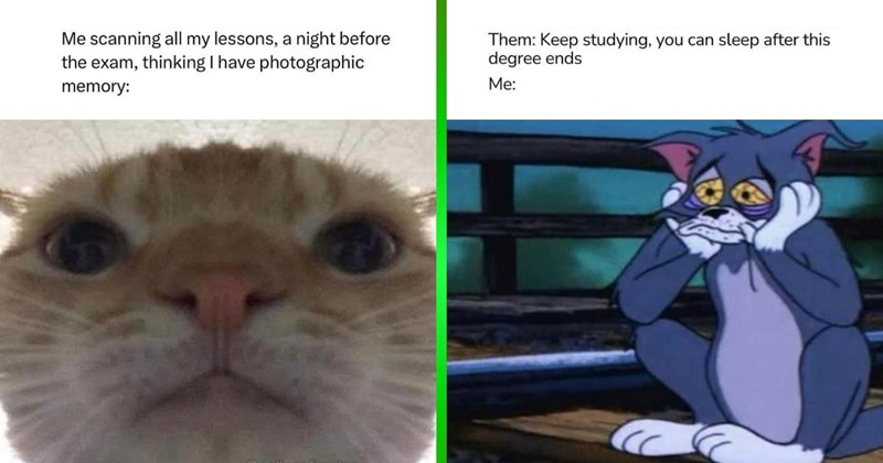 32 College Memes to Help You Laugh Your Way Through Finals