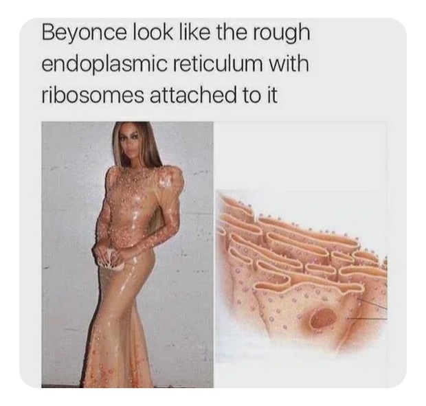 Idk…she’s pretty basic biology, but I can’t ignore that golgi apparatus – meme