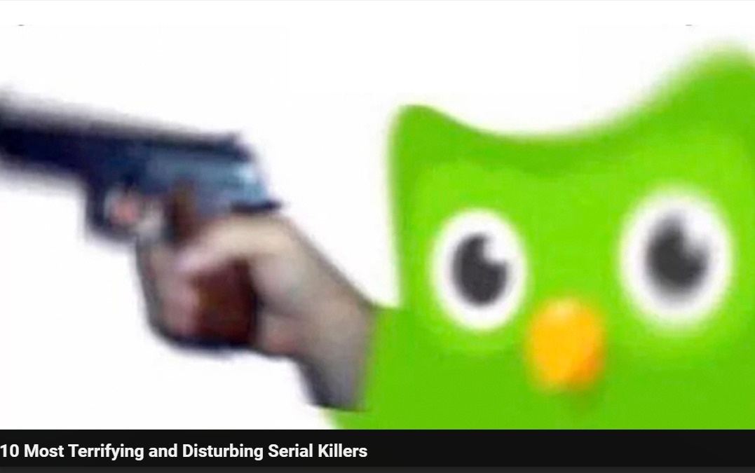 This owl is a real killer – meme